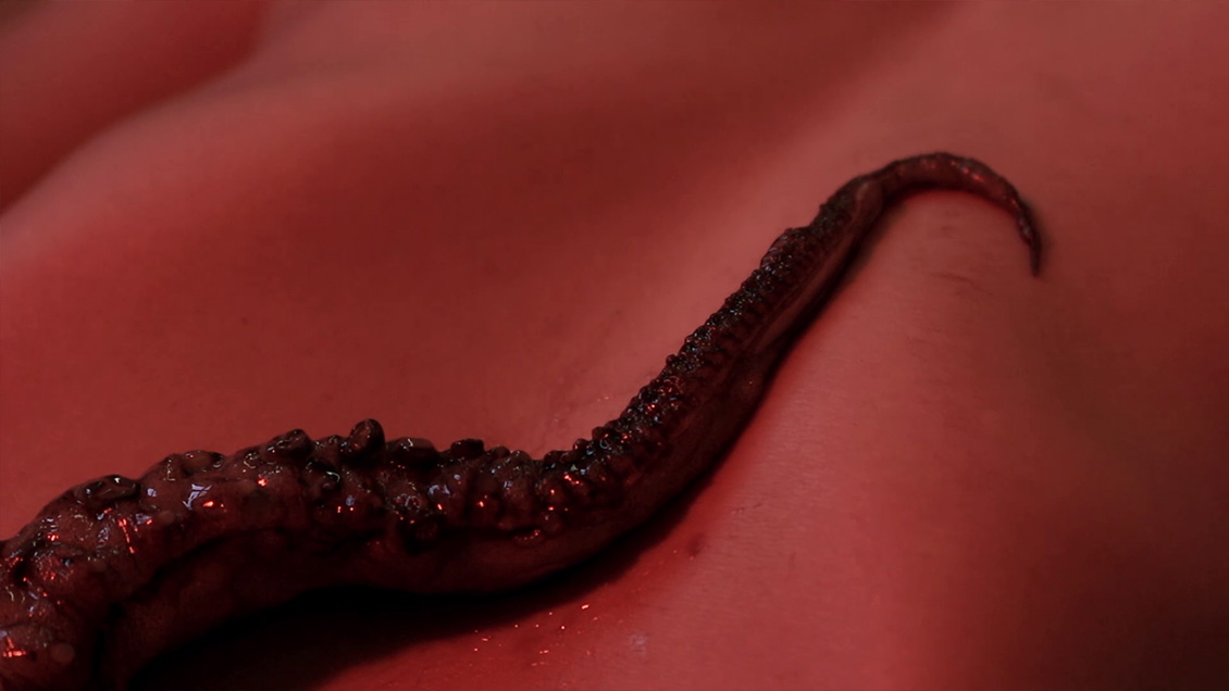 calamares-2